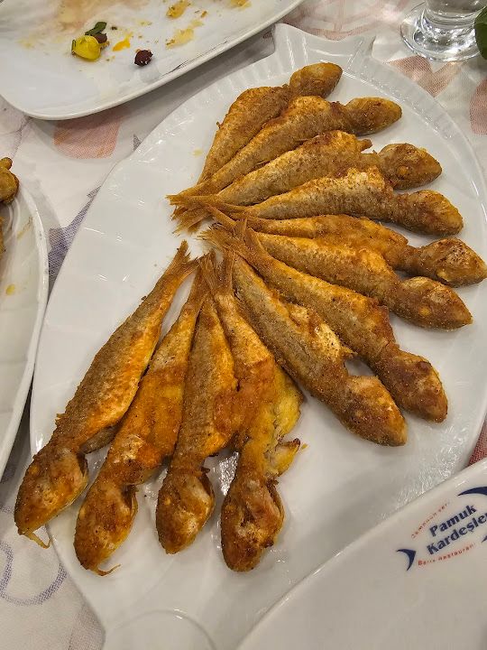 Yorum fotoğrafı 4