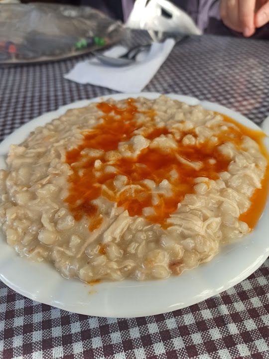 Fotoğraf 14