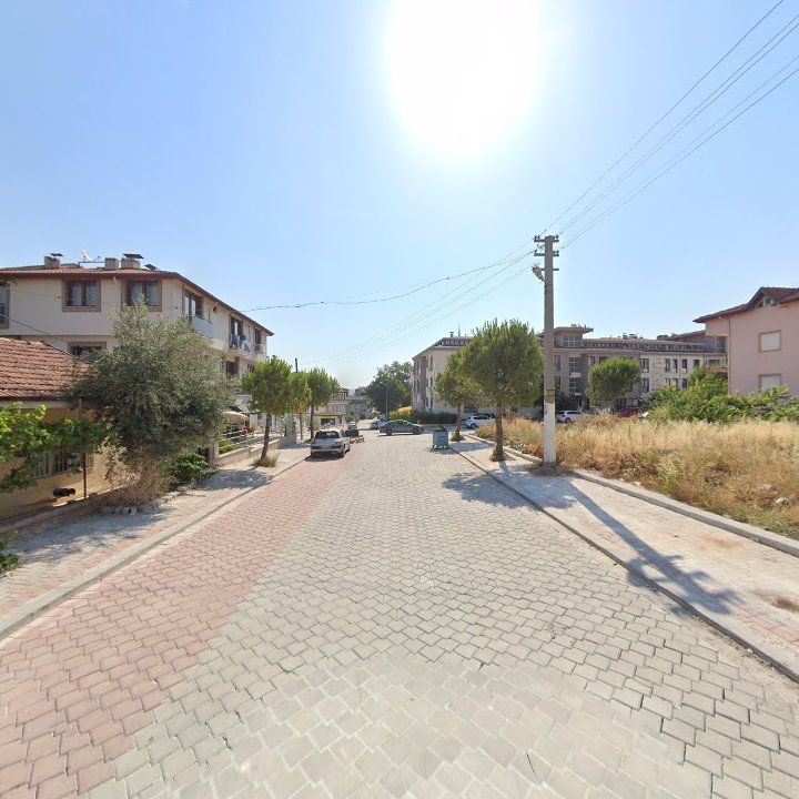 Fotoğraf 10