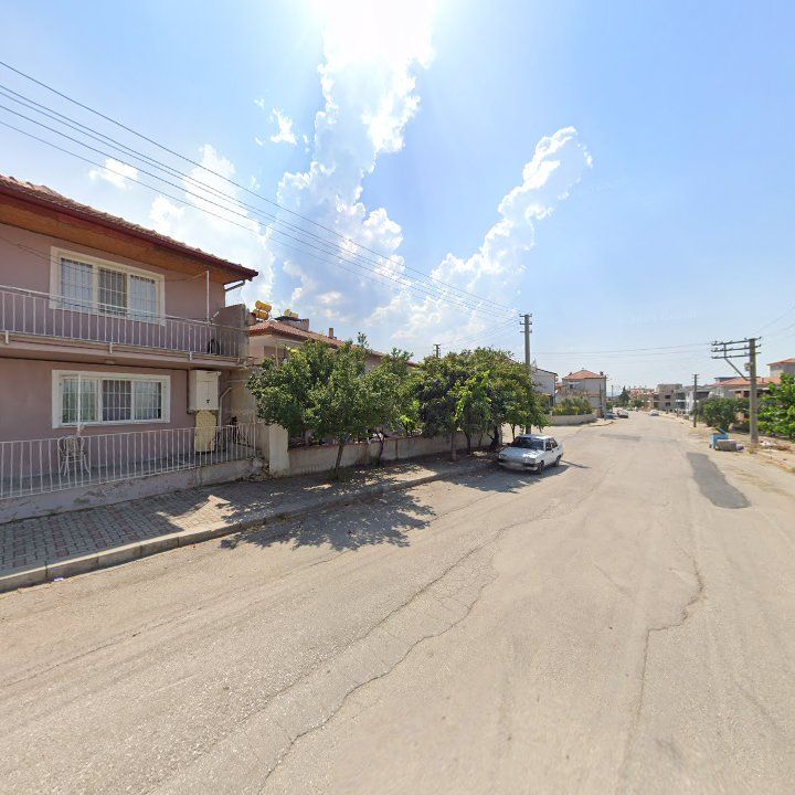Fotoğraf 7