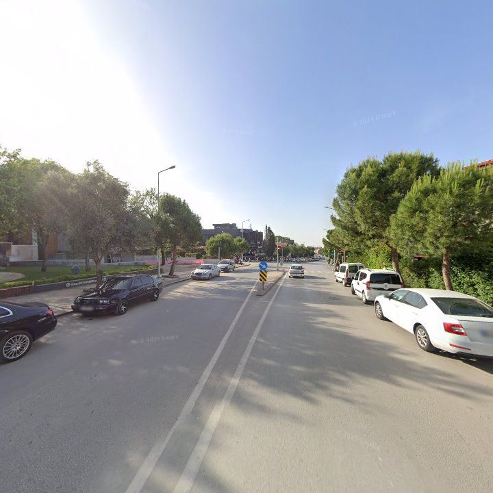 Fotoğraf 11