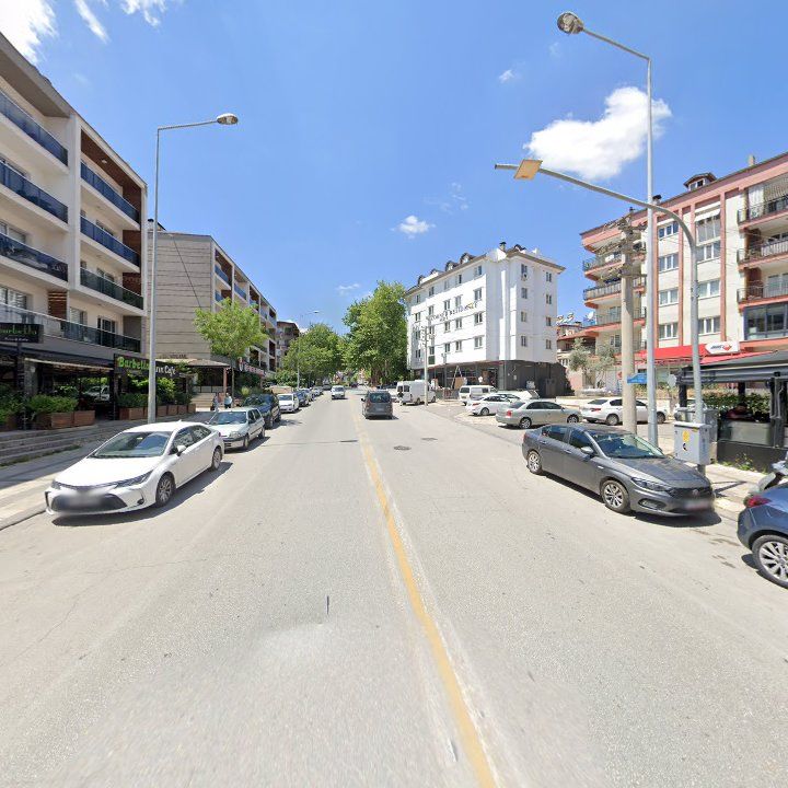 Fotoğraf 11