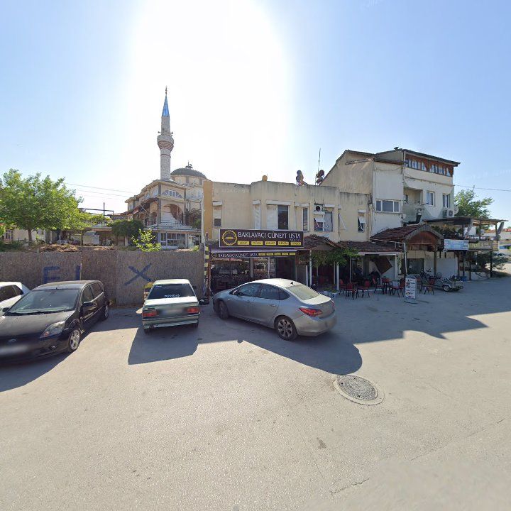 Fotoğraf 6