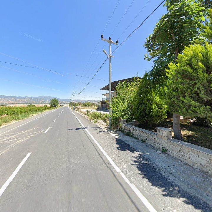 Fotoğraf 8