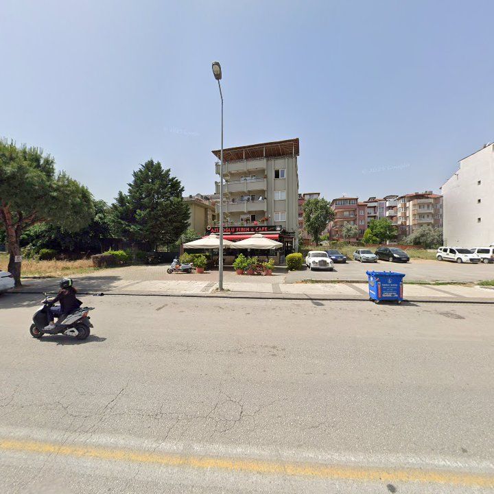 Fotoğraf 8