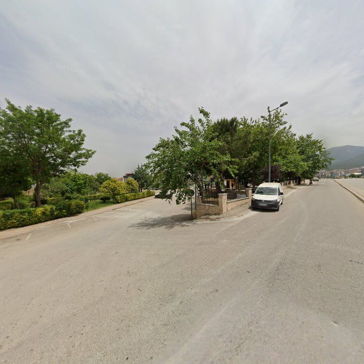 Fotoğraf 12