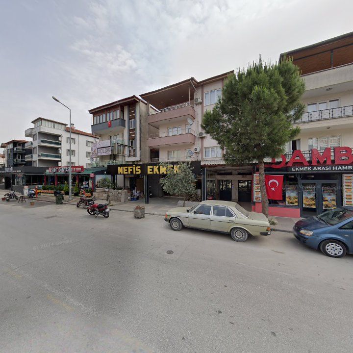 Fotoğraf 9
