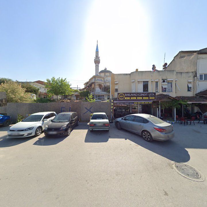 Fotoğraf 10