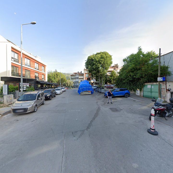 Fotoğraf 10