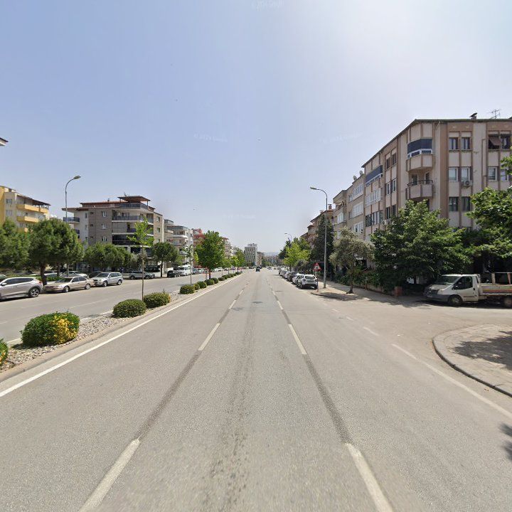 Fotoğraf 10