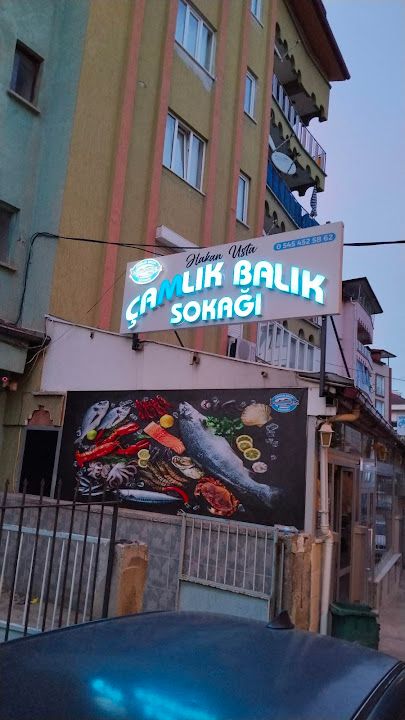 Çamlık Balık Sokağı