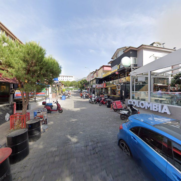 Fotoğraf 9