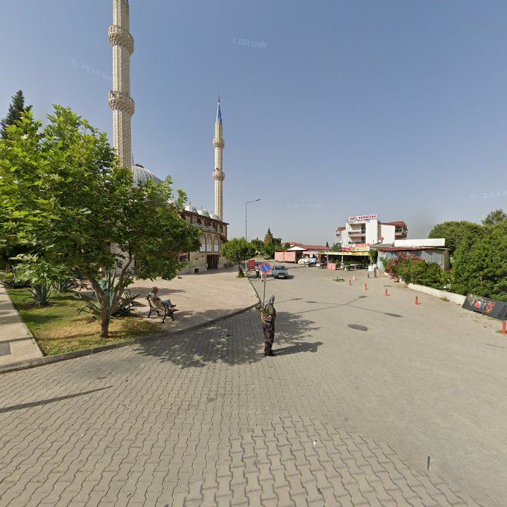 Fotoğraf 10