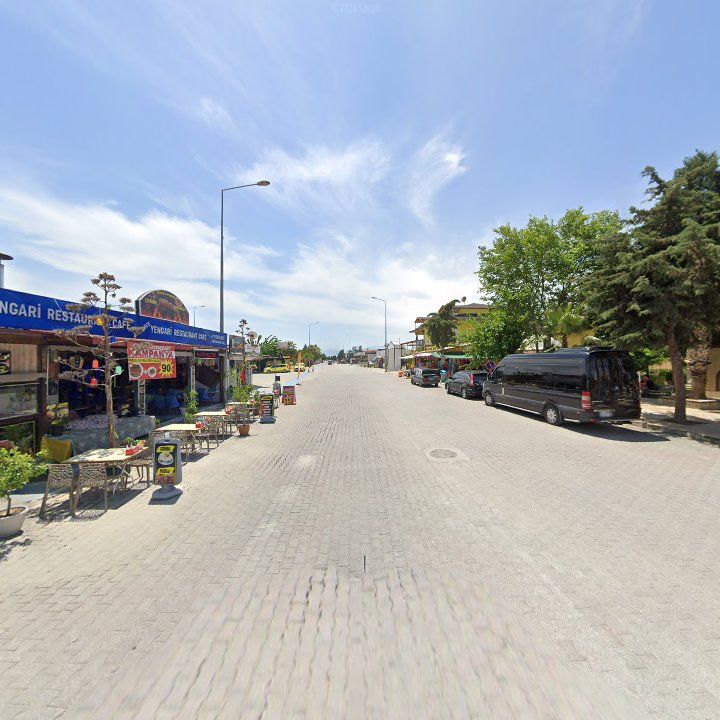Fotoğraf 8