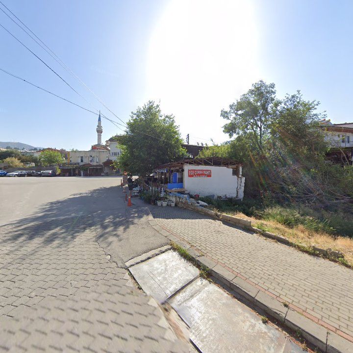 Fotoğraf 12
