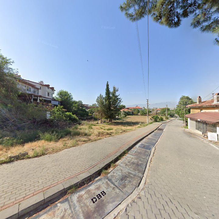 Fotoğraf 13