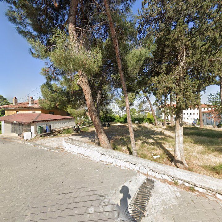 Fotoğraf 14