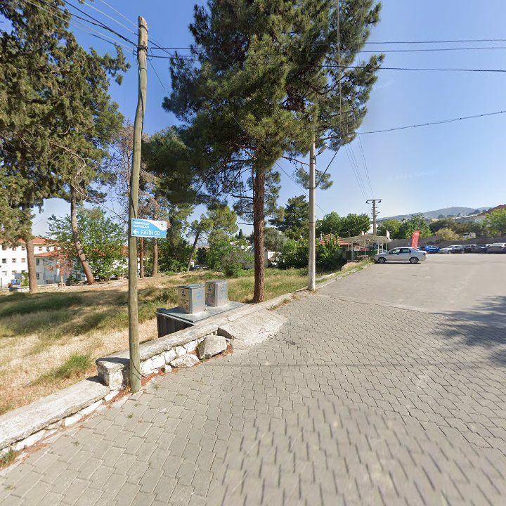 Fotoğraf 15