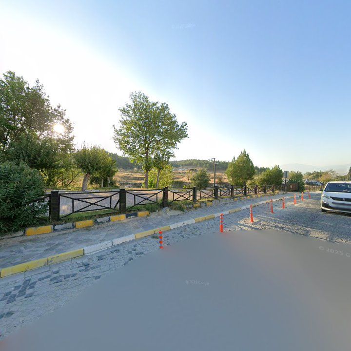 Fotoğraf 19