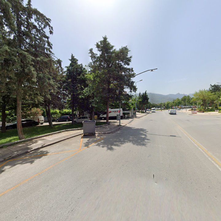 Fotoğraf 12