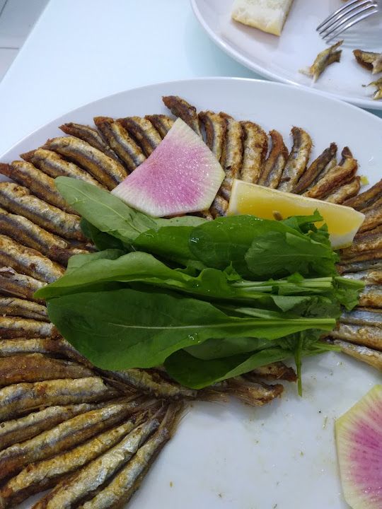 Fotoğraf 15