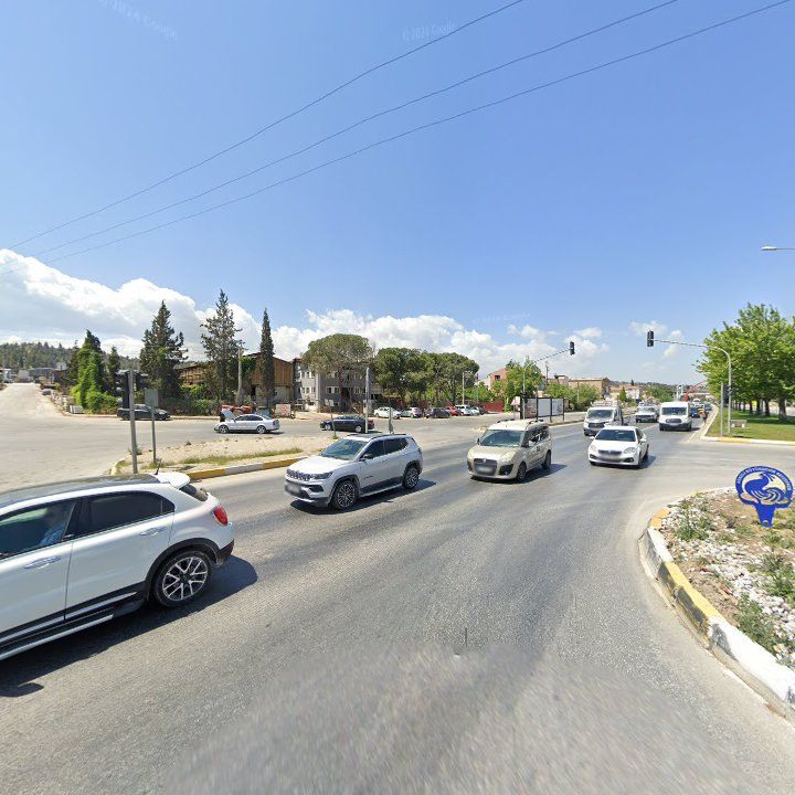Fotoğraf 11