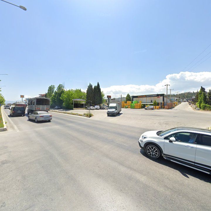 Fotoğraf 10
