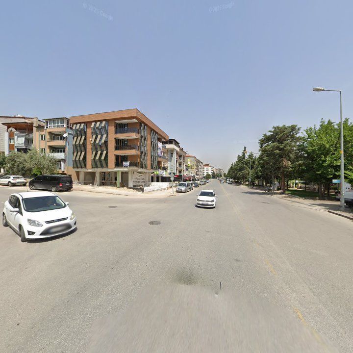 Fotoğraf 12
