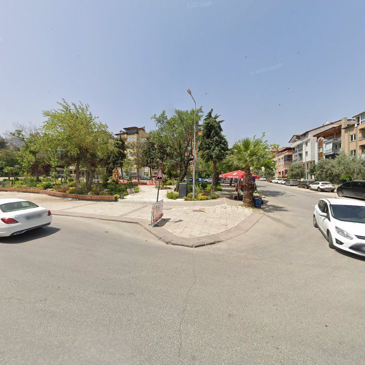 Fotoğraf 11