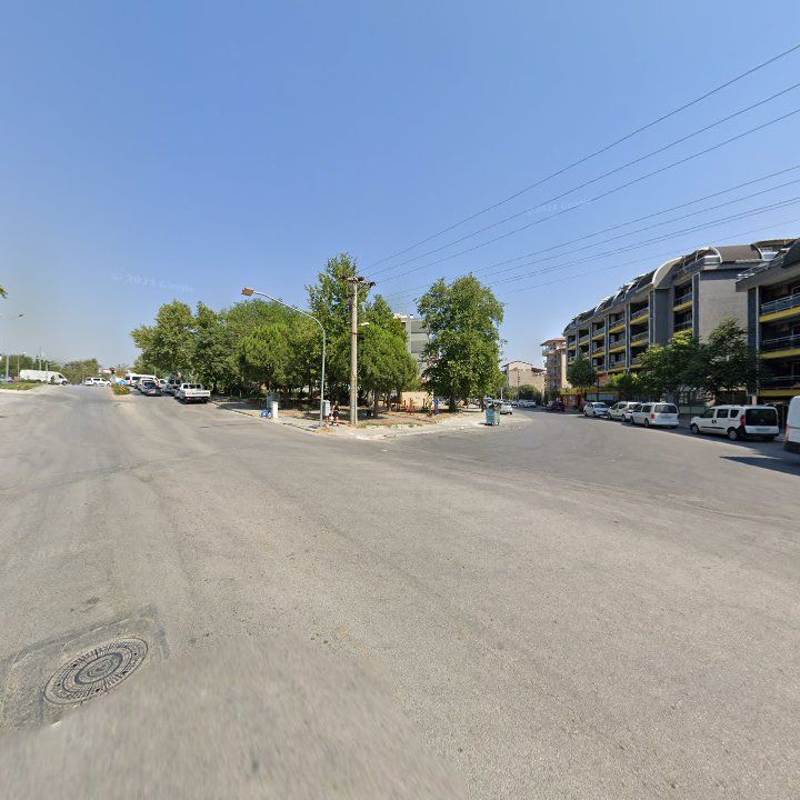 Fotoğraf 14