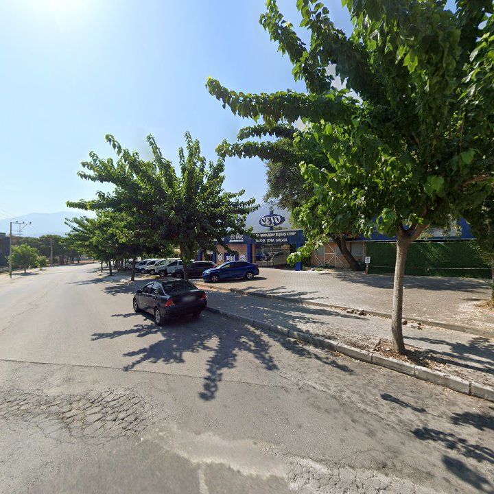 Fotoğraf 12