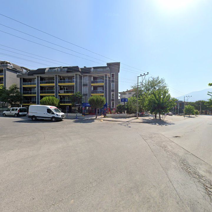 Fotoğraf 15