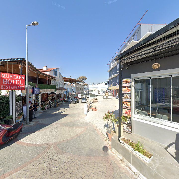 Fotoğraf 10