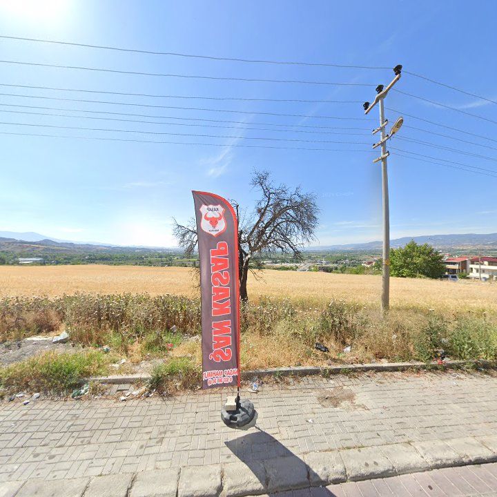 Fotoğraf 8