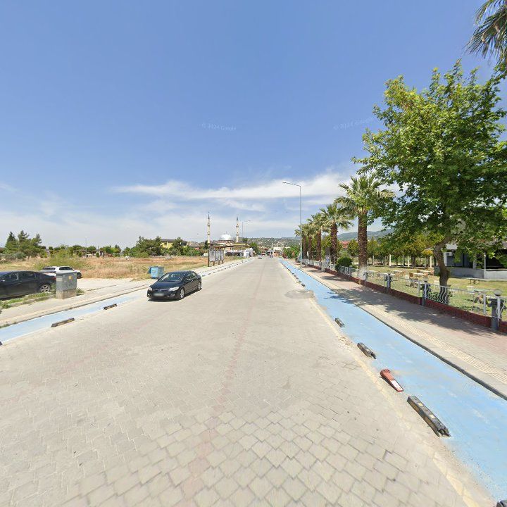 Fotoğraf 8