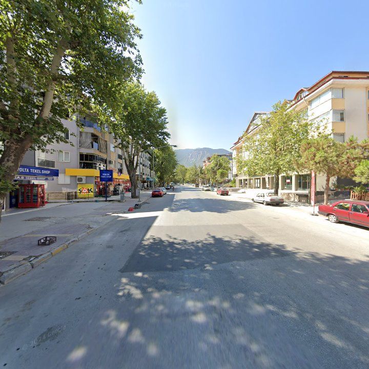 Fotoğraf 8