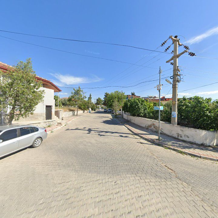 Fotoğraf 7