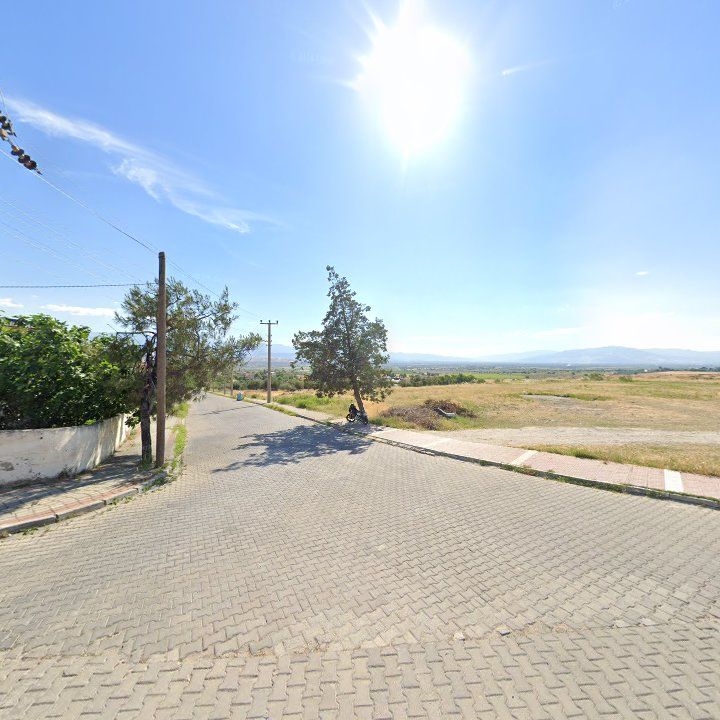 Fotoğraf 8