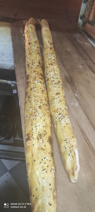 Fotoğraf 21