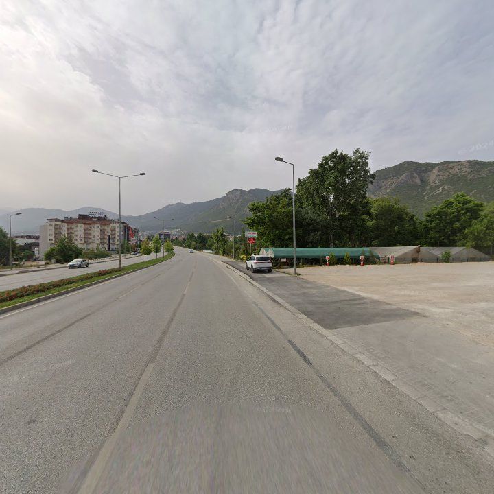 Fotoğraf 13