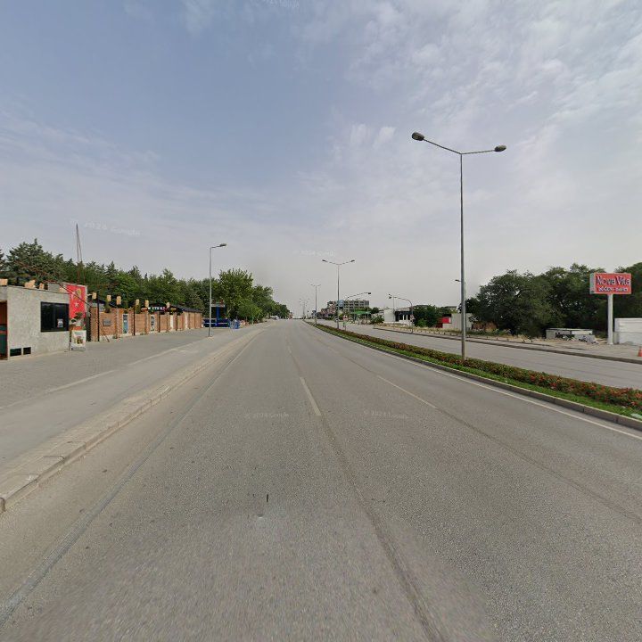 Fotoğraf 11