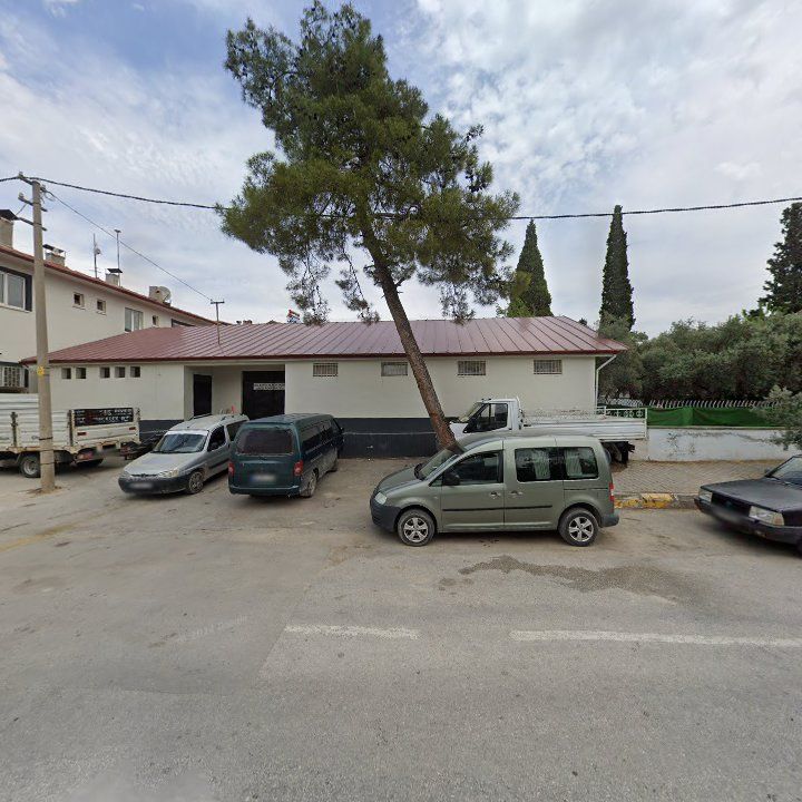 Fotoğraf 9