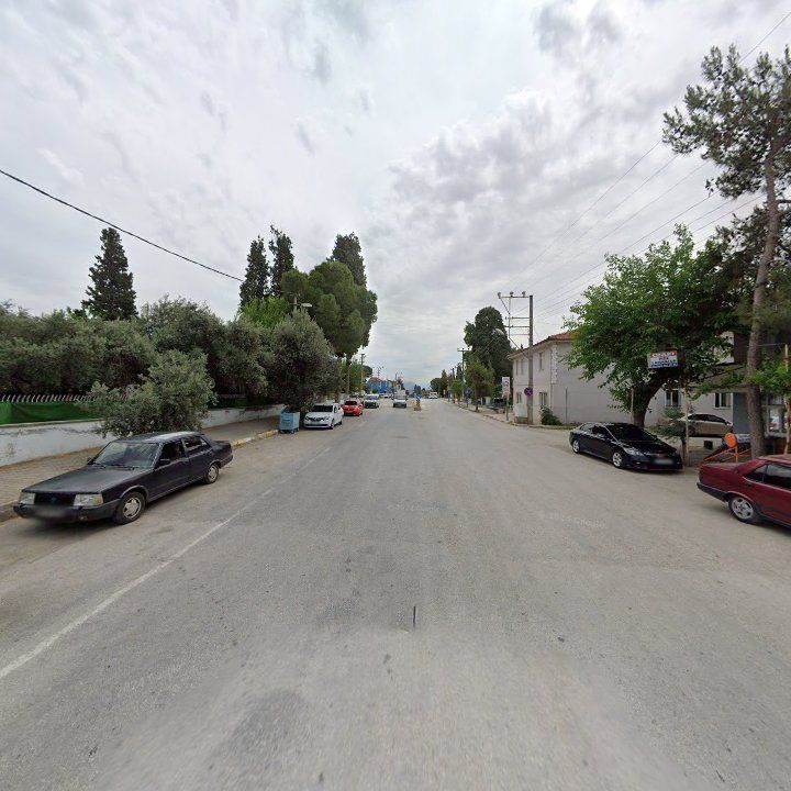 Fotoğraf 10