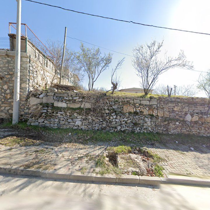 Fotoğraf 9