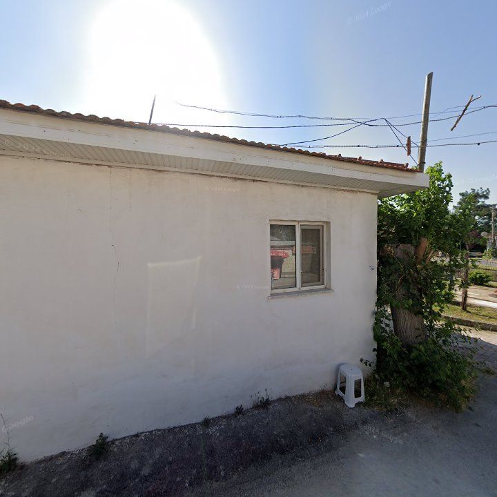 Fotoğraf 11