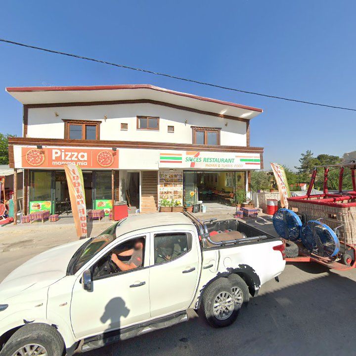 Fotoğraf 9