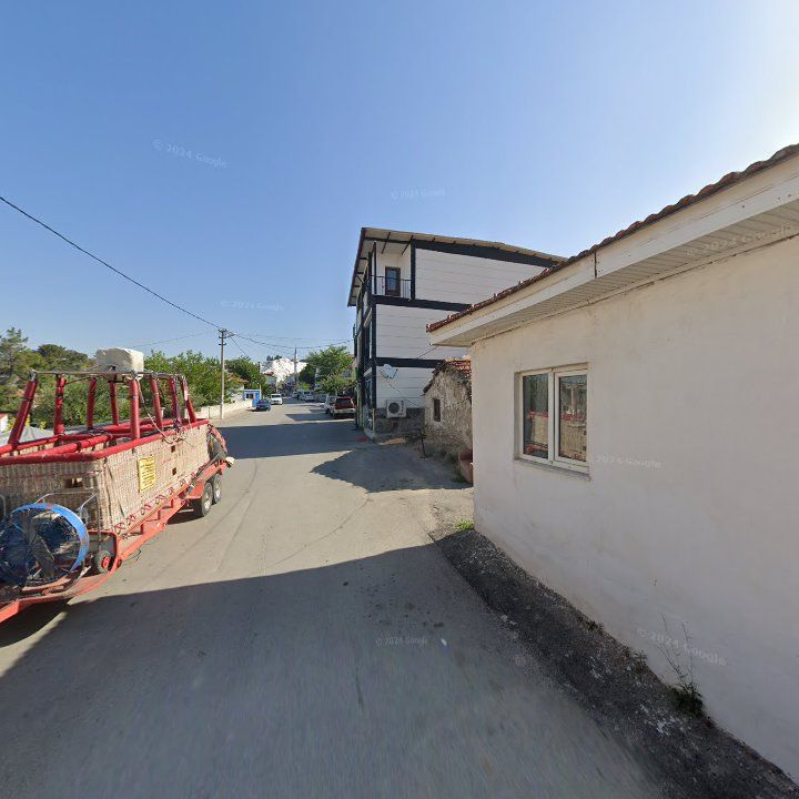 Fotoğraf 10