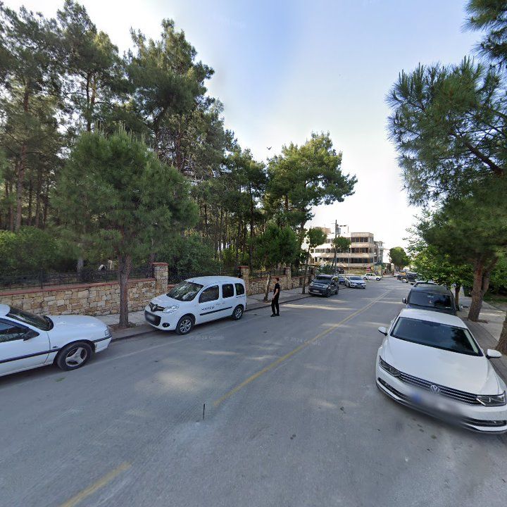 Fotoğraf 8