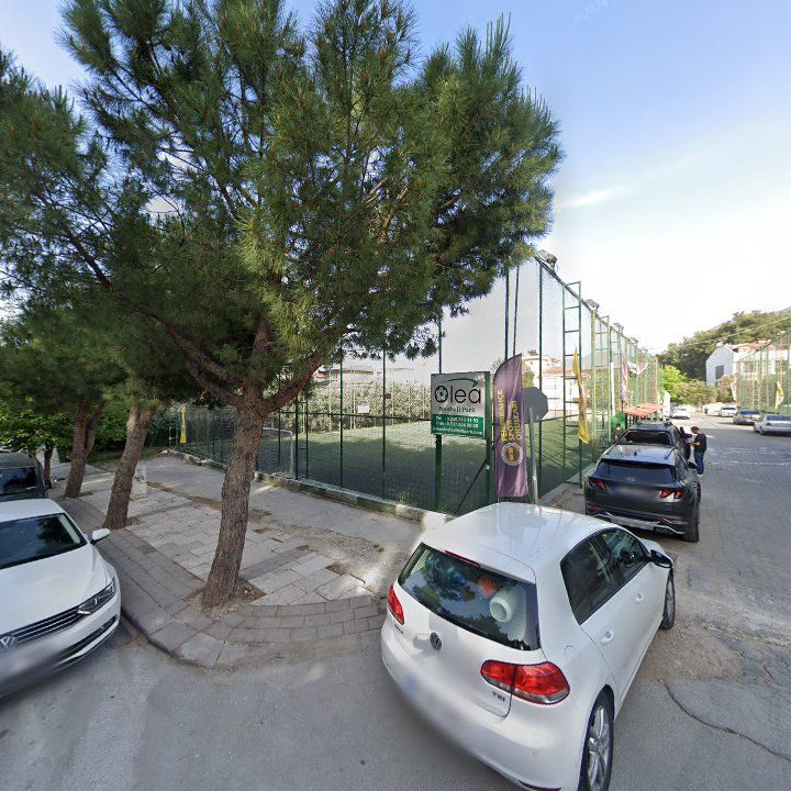 Fotoğraf 9