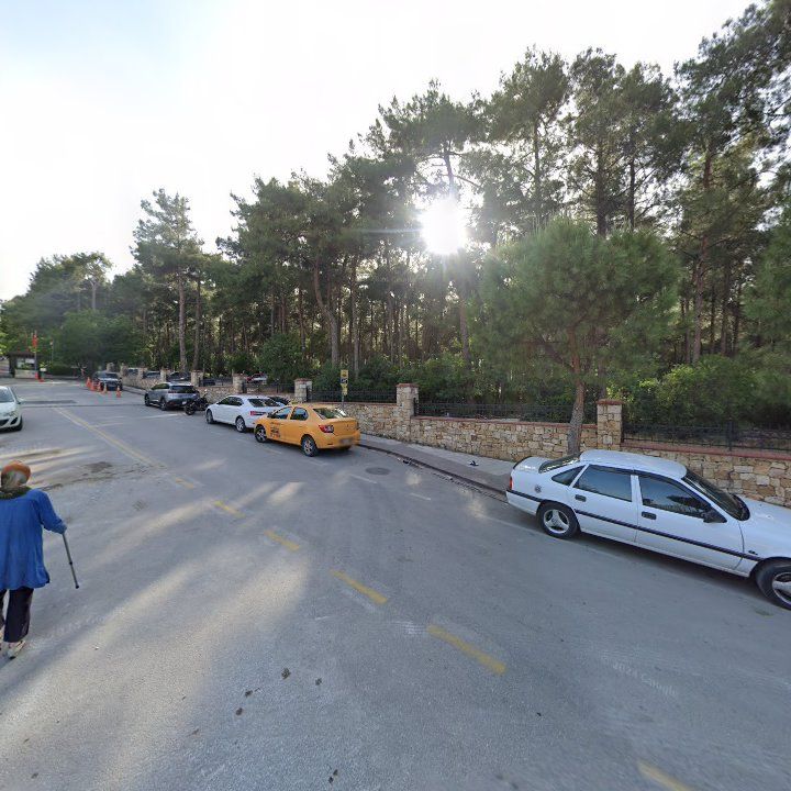Fotoğraf 7